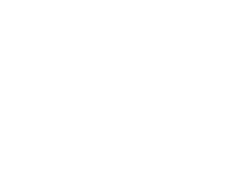 Lift-Off Global Network Berlin 2025, Winner