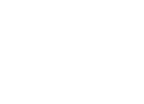 ImagineIndia International Film Festival, Madrid