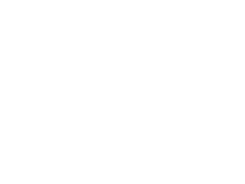 Jaipur International Film Festival 2024, Selected, Special Mention