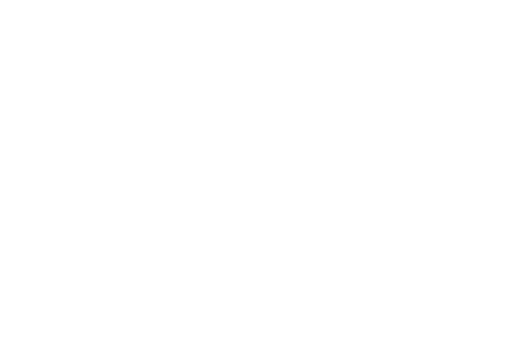 Montecatini International Short Film Festival, BIO & ARTS Award